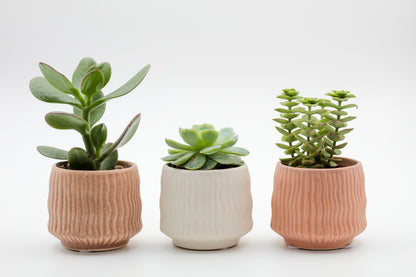 Hieroglyph Advantage Set