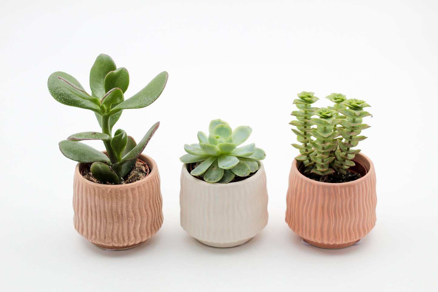 Hieroglyph Advantage Set