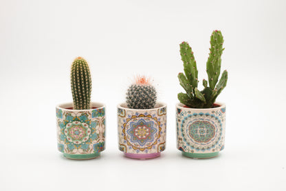 Marrakesh Value Set
