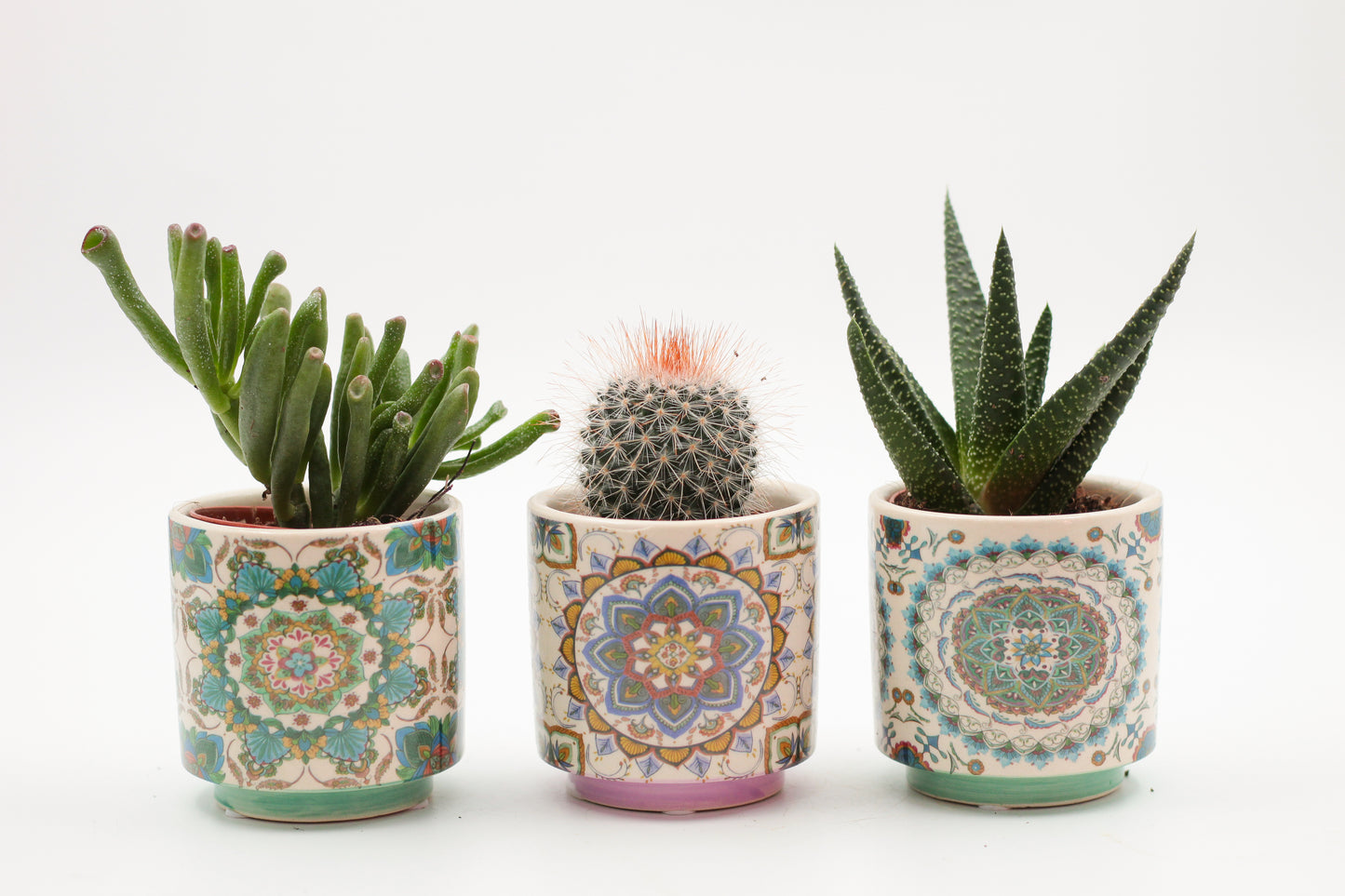Marrakesh Value Set