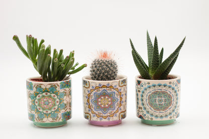 Marrakesh Value Set