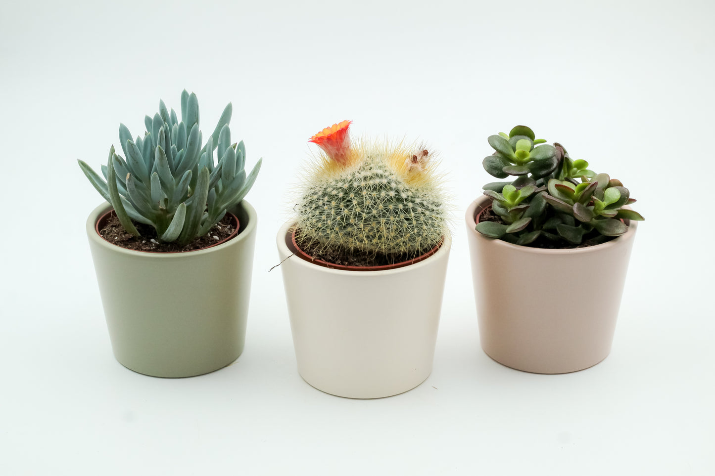 Voordeelset Pastel vibes