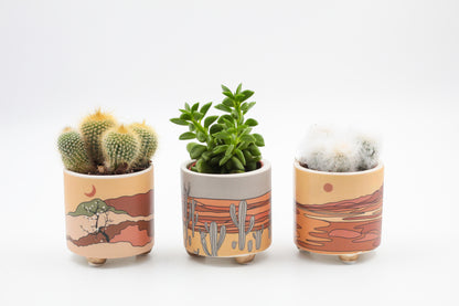 Voordeelset Desert