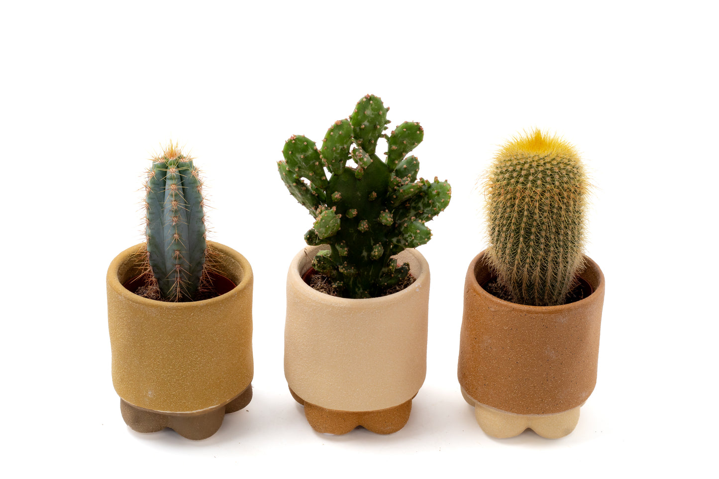 Foto van de drie potjes (bruin/beige/terracotta, golvende voet): "Set van drie handgemaakte sierpotjes in aardetinten met golvende voet, ideaal voor een mini cactus of mini vetplant"