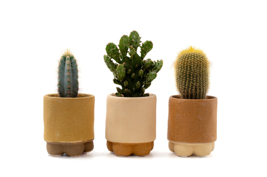 Foto van de drie potjes (bruin/beige/terracotta, golvende voet): "Set van drie handgemaakte sierpotjes in aardetinten met golvende voet, ideaal voor een mini cactus of mini vetplant"