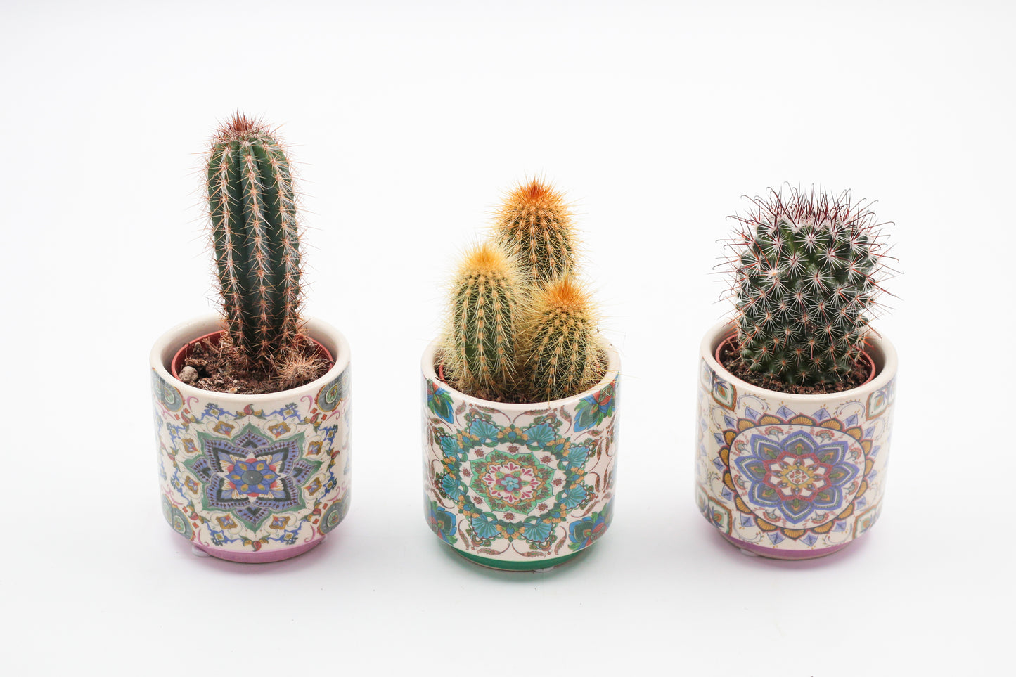 Marrakesh Value Set