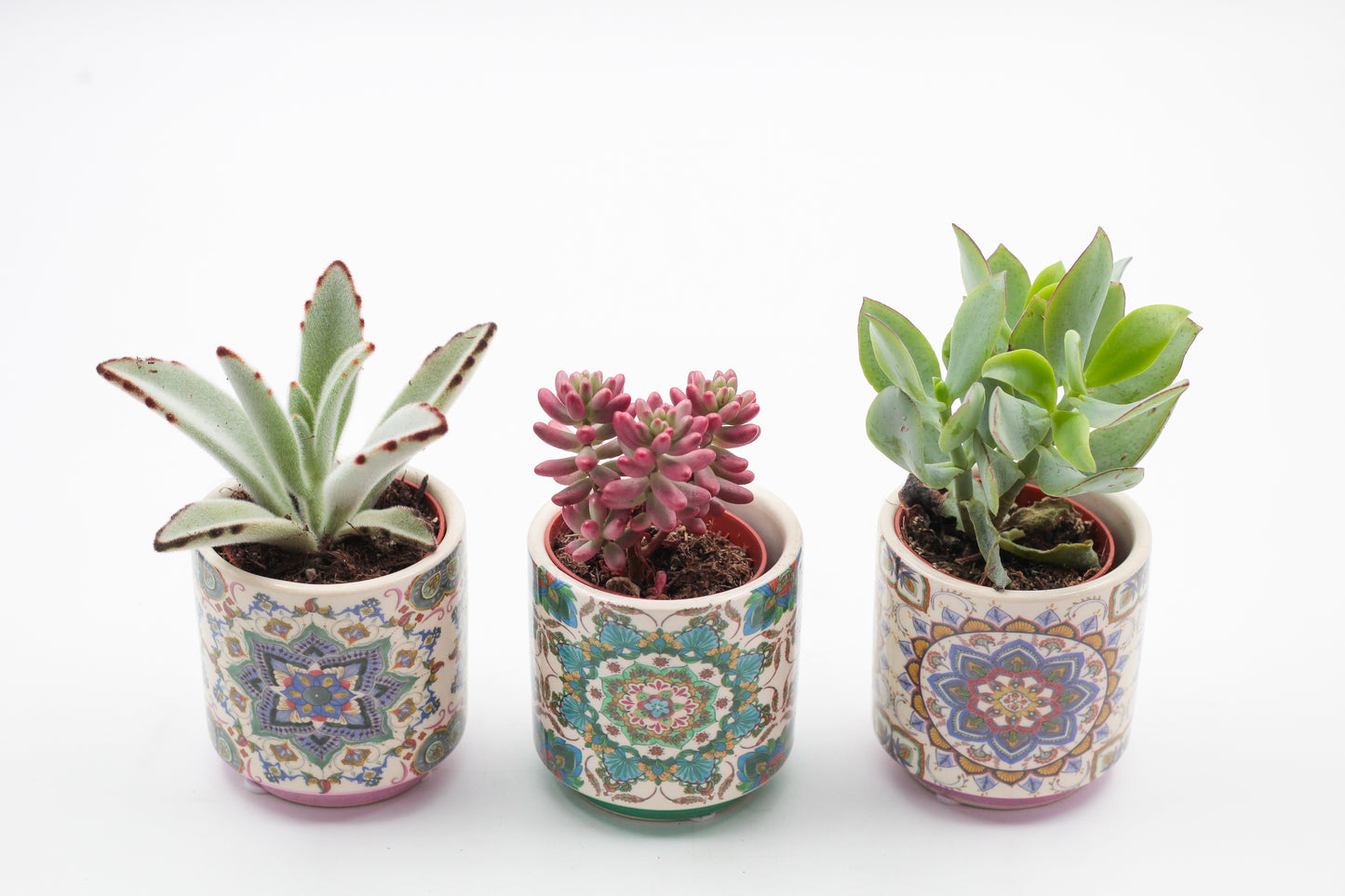 Marrakesh Value Set