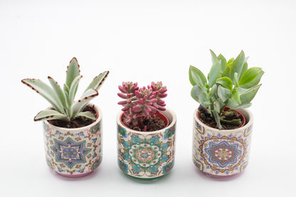 Marrakesh Value Set