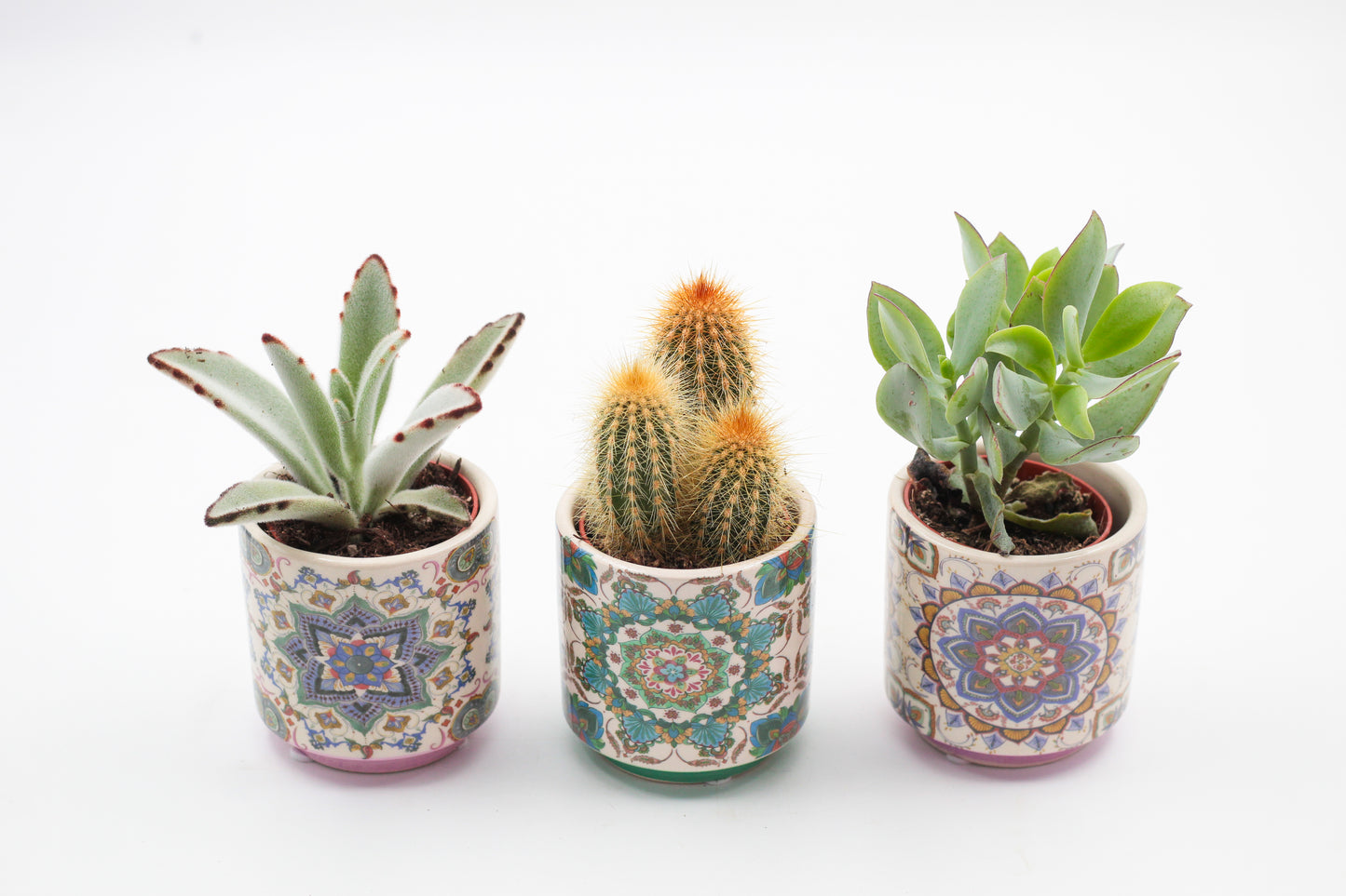 Marrakesh Value Set